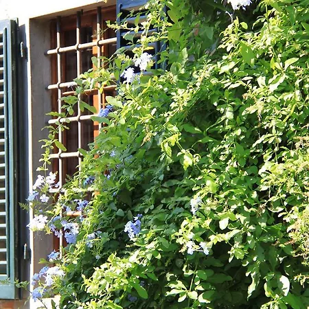 Bed & Breakfast Antica Casa Le Rondini Borgo a Buggiano