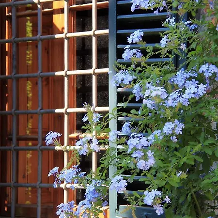 Antica Casa Le Rondini 3* Borgo a Buggiano